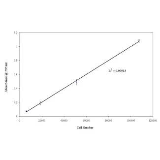 Collagen I Cell Adhesion Assay