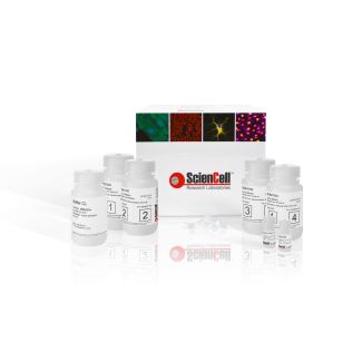 DualPrep DNA/RNA Isolation Kit, 100 preps
