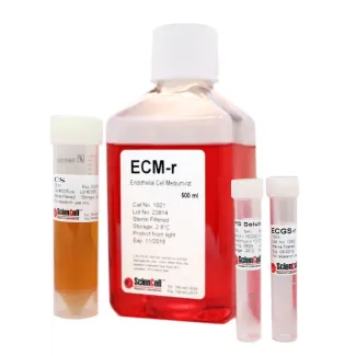 Endothelial Cell Medium-rat