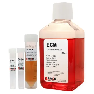 Endothelial Cell Medium
