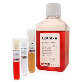 Epithelial Cell Medium-animal