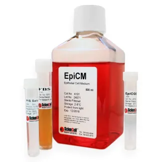 Epithelial Cell Medium, EpiCM