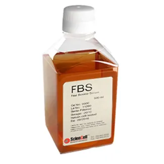 Fetal Bovine Serum, 500 ml