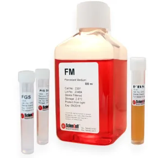 Fibroblast Medium