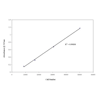 Fibronectin Cell Adhesion Assay