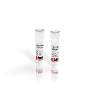 First-Strand cDNA Synthesis Master Mix, 4x