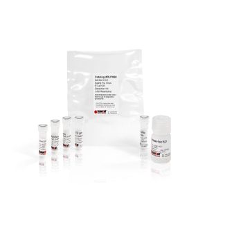 RU7068 100 次反应