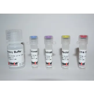 Glucose Assay