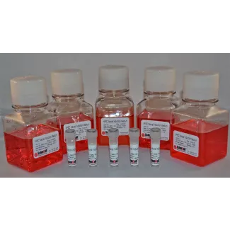 HPSC Neural Induction Medium