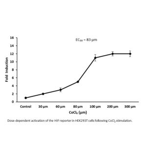 HRE Dual Reporter Vector