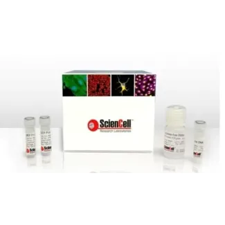 Human Age-associated ELOVL2 Promoter Methylation Quantification qPCR Assay Kit