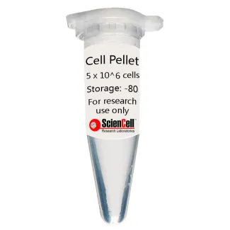Human Lymphatic Endothelial Cell Pellet   