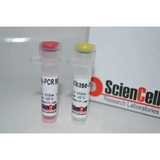Human Mesenchymal Stem Cell Chondrogenesis Detection qPCR Kit