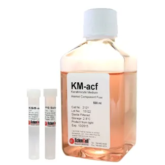 Keratinocyte Medium-animal component free