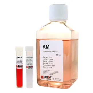 Keratinocyte Medium