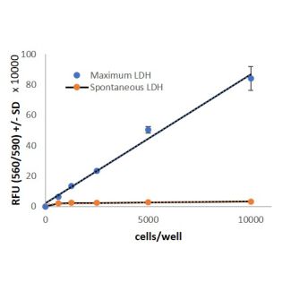 LDH Cytotoxicity Assay-Fluorescence