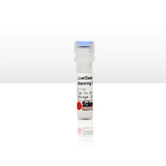 Live/Dead Cell Staining Kit