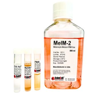 Melanocyte Medium-PMA free