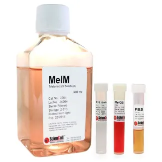 Melanocyte Medium