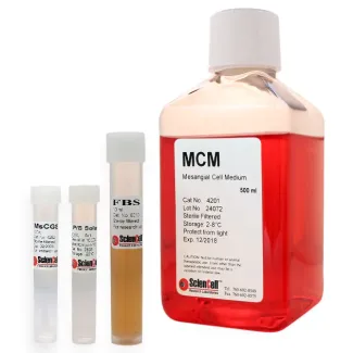 Mesangial Cell Medium
