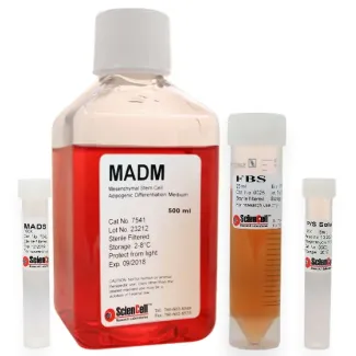 Mesenchymal Stem Cell Adipogenic Differentiation Medium