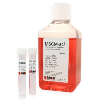 Mesenchymal Stem Cell Medium-animal component free