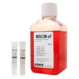 Mesenchymal Stem Cell Medium-serum free