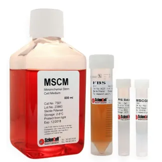 Mesenchymal_Stem_Cell_Medium, MSCM