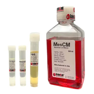 Mesothelial Cell Medium