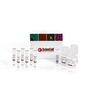 Monkeypox Virus Multiplex qPCR Detection Kit