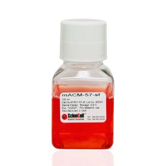 Mouse Astrocyte Conditioned Medium-57-Serum Free