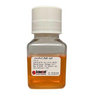 Mouse Astrocyte Conditioned Medium-Serum Free from CD-1