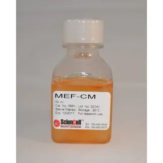 Mouse Embryonic Fibroblast-Conditioned Medium