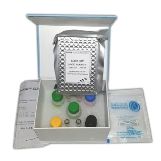 Mouse IGF-2 ELISA Kit 