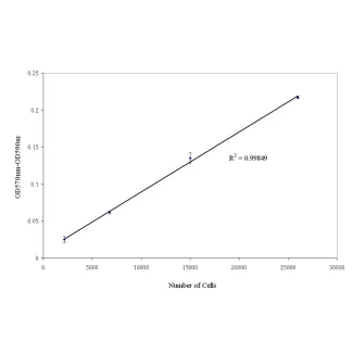 MTT Cell Viability & Proliferation Assay