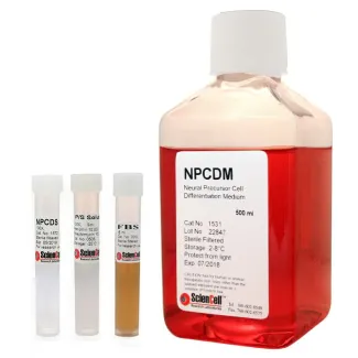 Neural Precursor Cell Differentiation Medium