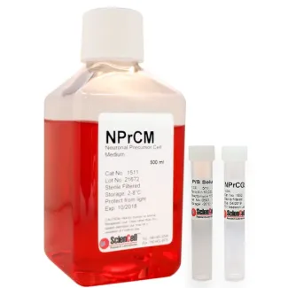 Neural Precursor Cell Medium