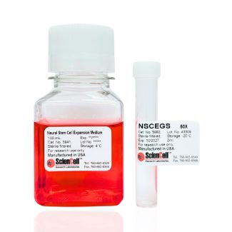 Neural Stem Cell Expansion Medium