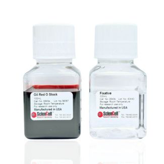 Oil Red O Staining Kit
