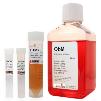 Osteoblast Medium