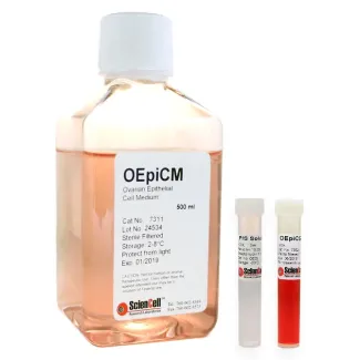 Ovarian Epithelial Cell Medium