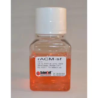 Rat Astrocyte Conditioned Medium-Serum Free 