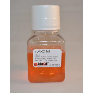 Rat Astrocyte Conditioned Medium