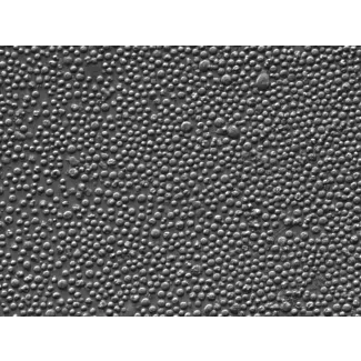 Rat Splenocytes (RS) – Relief contrast, 400x
