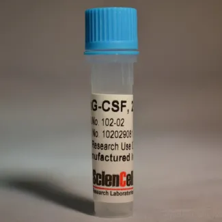 Recombinant Human Granulocyte Colony Stimulating Factor