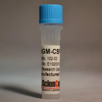 Recombinant Human Granulocyte Macrophage Colony Stimulating Factor