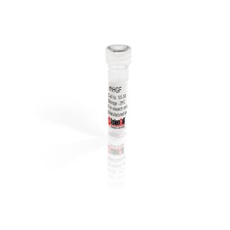 Recombinant Human Hepatocyte Growth Factor 