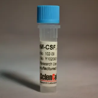  Recombinant Human Macrophage Colony Stimulating Factor
