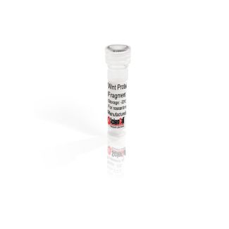 Recombinant Human Wnt-3a Protein Fragment 223-352