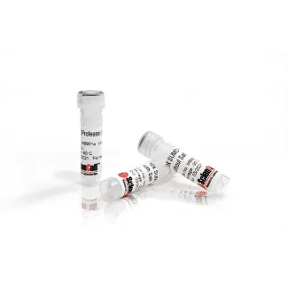 Recombinant yeast SUMO Protease 500 units